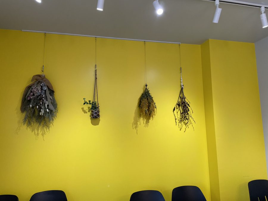 イエローウォールと植物
